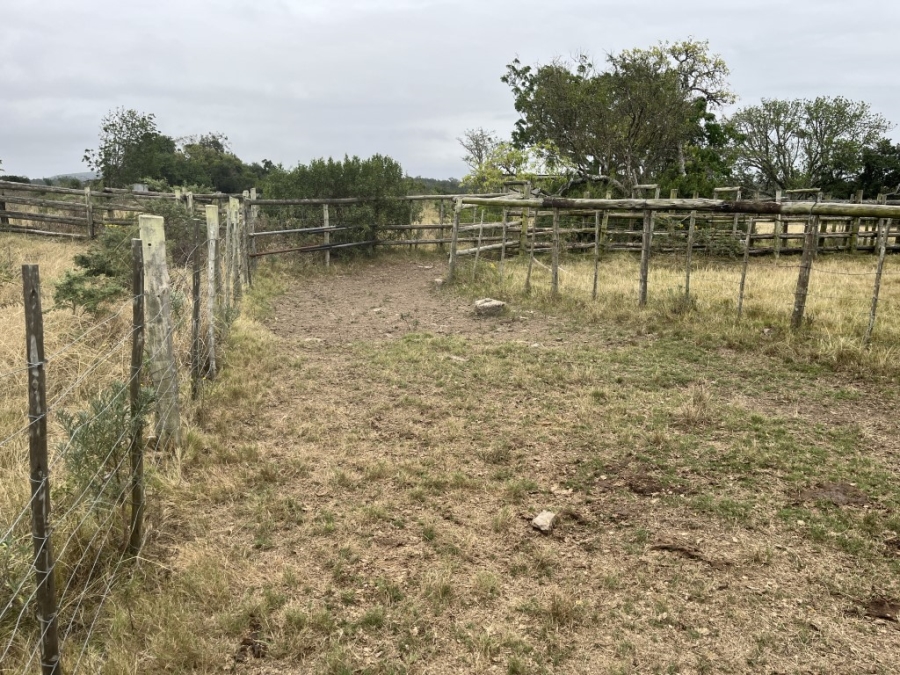 Commercial Property for Sale in Bathurst Rural Eastern Cape